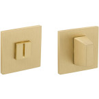 Square Satin Brass Toilet...