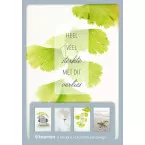 Hallmark greeting cards, lots of encouragement during this difficult time (Dutch), pack of 8 cards