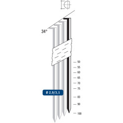 Stalen stripnagels 2,9x50mm (34°) voor timmermansspijkermachine / 3600pce