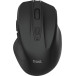 Trust Nito souris silencieux sans fil, noir