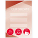 GBC Peel n Stick Laminating Pouch A4 150 Micron Matte Pack of 25
