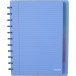 Atoma Seyes schrift, ft A4 +, 120 bladzijden, PP,  gelijnd, met 6 tabbladen en 5 showtassen, assorti
