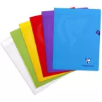 Clairefontaine schrift Mimesys voor ft A4+, 48 bladzijden, kaft in PP, seyès, geassorteerde kleuren