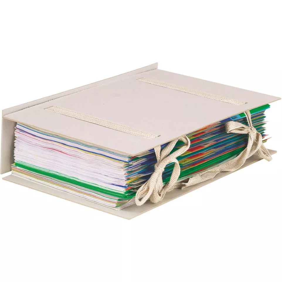 Esselte expandable file with 2...