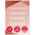 GBC laminating pouches A4 150 microns (2 x 75 microns) matt/glossy pack of 100 sheets