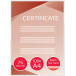 GBC laminating pouches A4 150 microns (2 x 75 microns) matt/glossy pack of 100 sheets