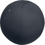 Leitz Ergo ballon d'assise...