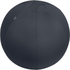 Leitz Ergo ballon d'assise...