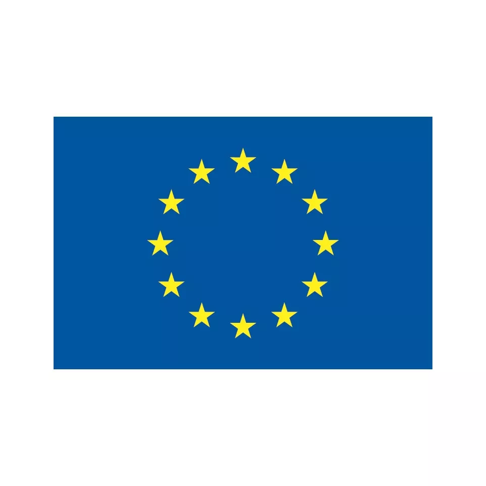 Europe Flag