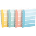 Oxford Iconics spiraalschrift, ft B5, 120 bladzijden, geruit 5 mm, geassorteerde kleuren