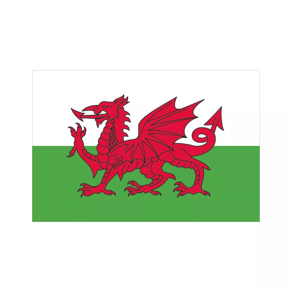 Vlag Land van Wales