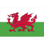 Vlag Land van Wales