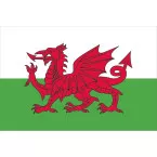 Vlag Land van Wales