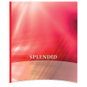 Splendid verslagschrift 36 bladzijden, gelijnd 8 mm