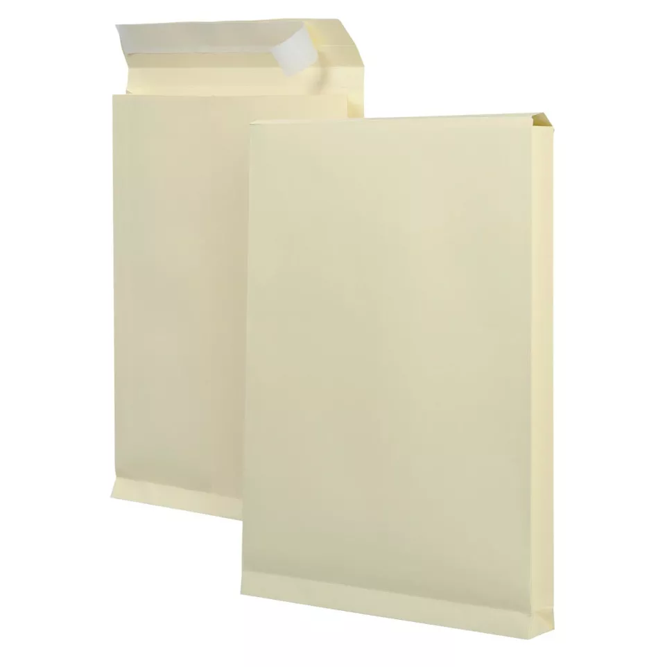 Bong gusseted bottom envelope, size...