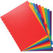 Exacompta uitneembare tabbladen voor showalbum met ringen, in gekleurd PP, 10 tabs