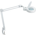 MAULviso loeplamp, LED, met tafelklem 6.3cm, armlengte 2x31cm, 3 dioptrielens, opp 144cm2, wit