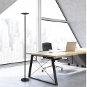 MAUL Lampadaire LED Sphere 195cm, lumière blanche chaude, réglable, noir