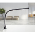 MAULpirro LED Desk Lamp, Dimmable, with Table Clamp, Black