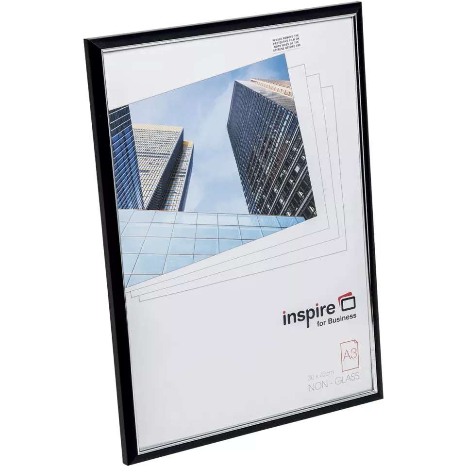 Inspire for Business fotokader...