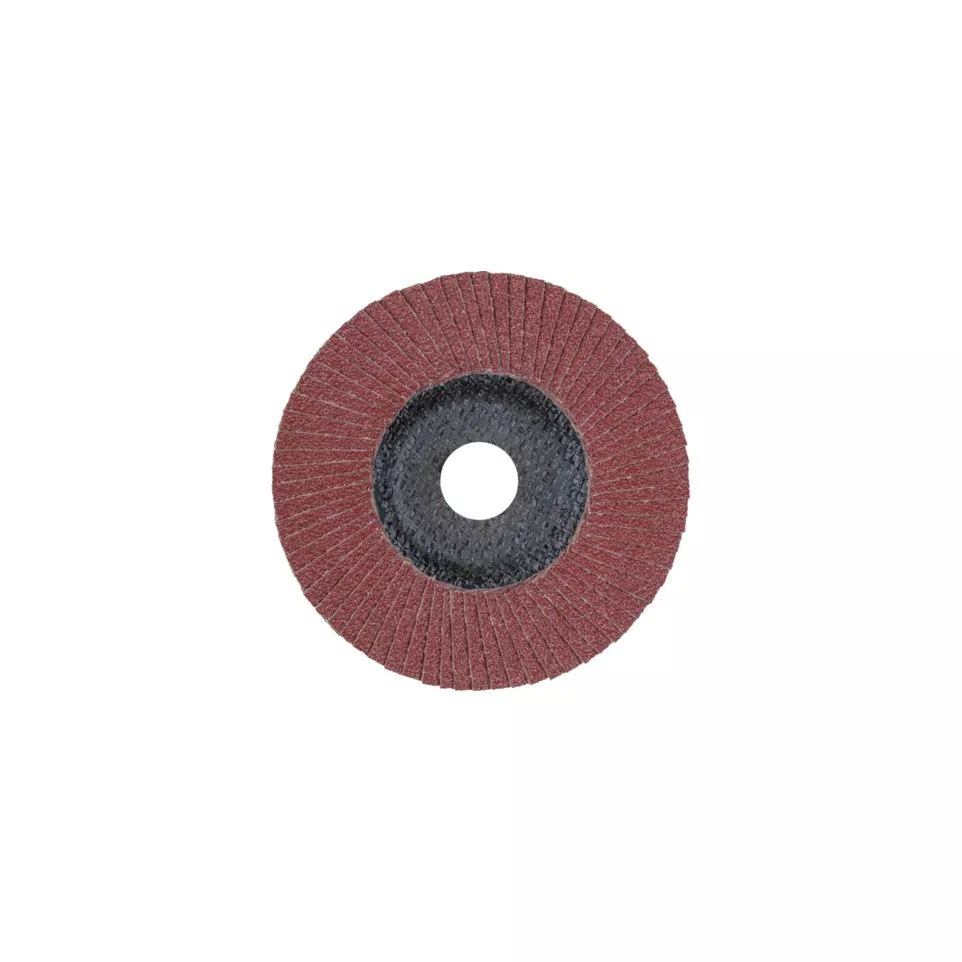 Disque lamelle Pferd qualité SG Ø...