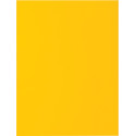 Exacompta Rock's 80 Cardboard File Folder 22 x 31 cm Pack of 100 Yellow