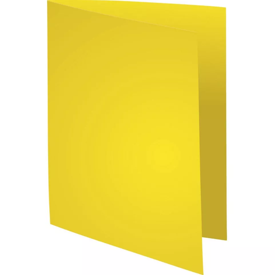 Exacompta Rock's 80 Cardboard File...