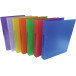 Alpha 2-Ring Polypropylene Binder for A4 Sheets Assorted Transparent Colors 25 mm Rings