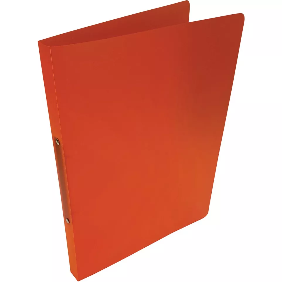 Alpha A4 Polypropylene 2-Ring Binder,...