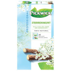Pickwick thé, menthe...