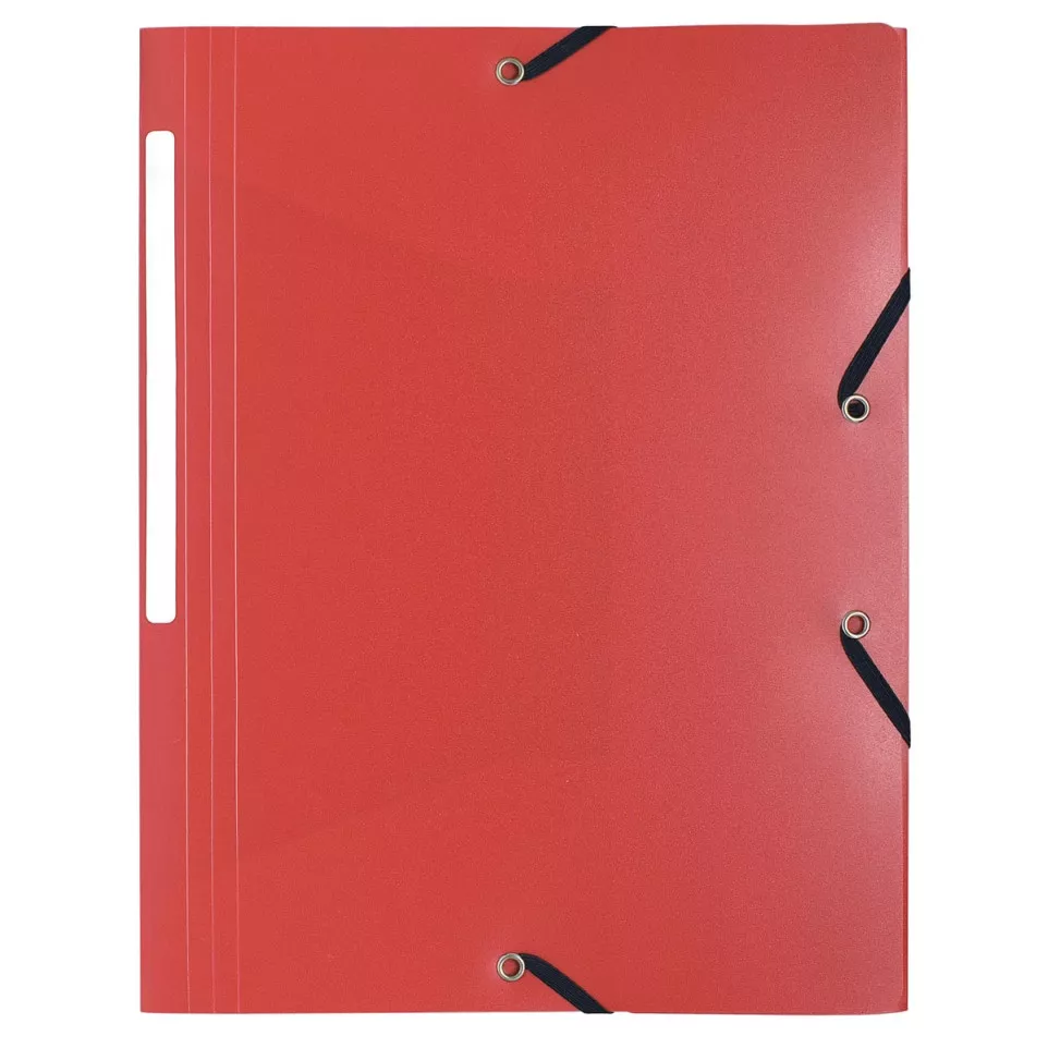 Exacompta A4 Elasticated Folder with...