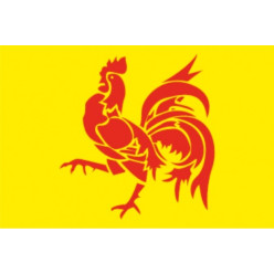 Vlag Waalse Gewest