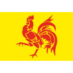 Vlag Waalse Gewest