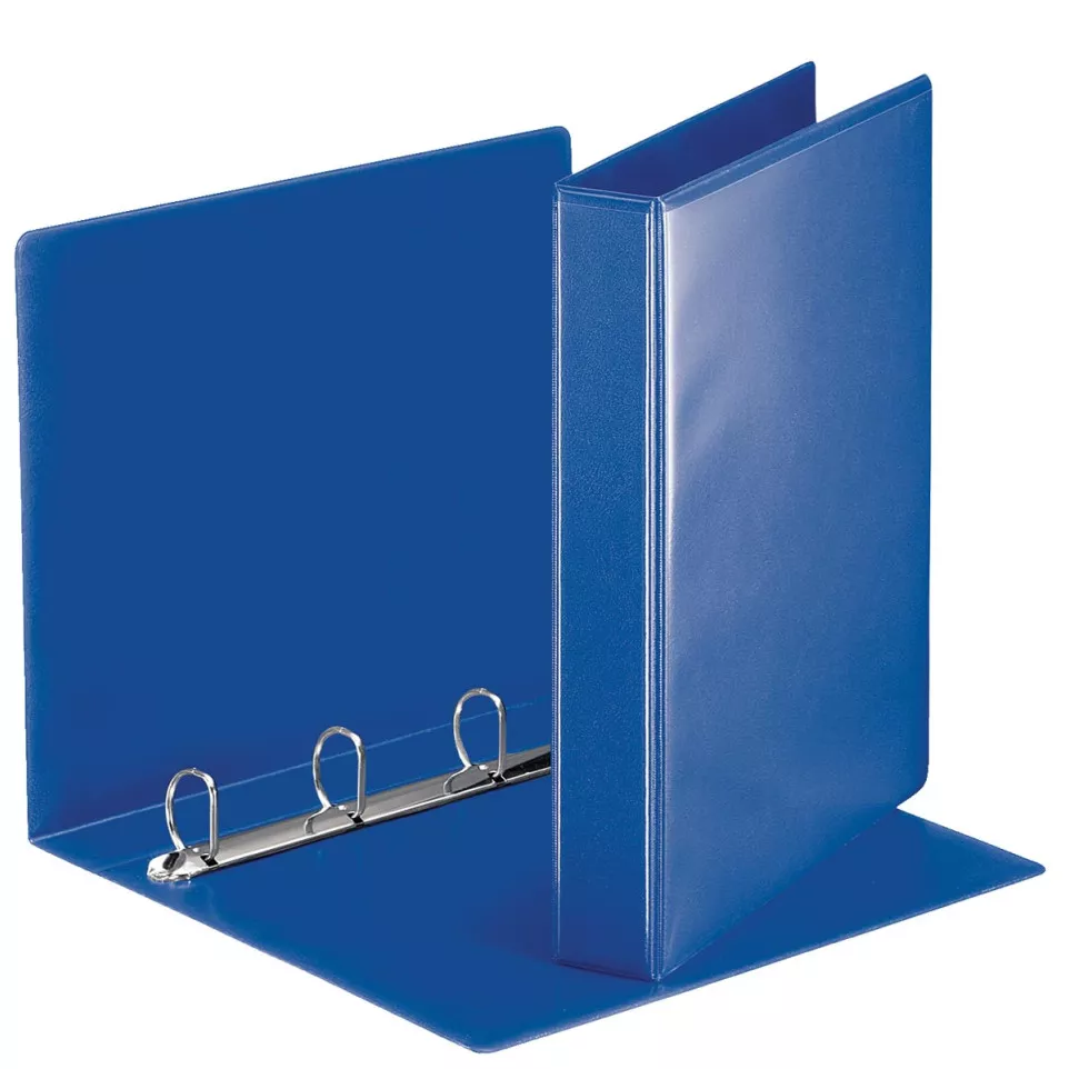 Esselte Customisable D-Ring Binder, 4...