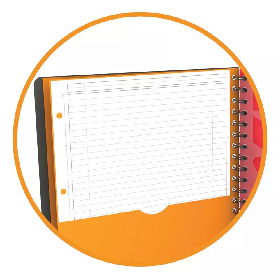 Oxford INTERNATIONAL managerbook, 160...