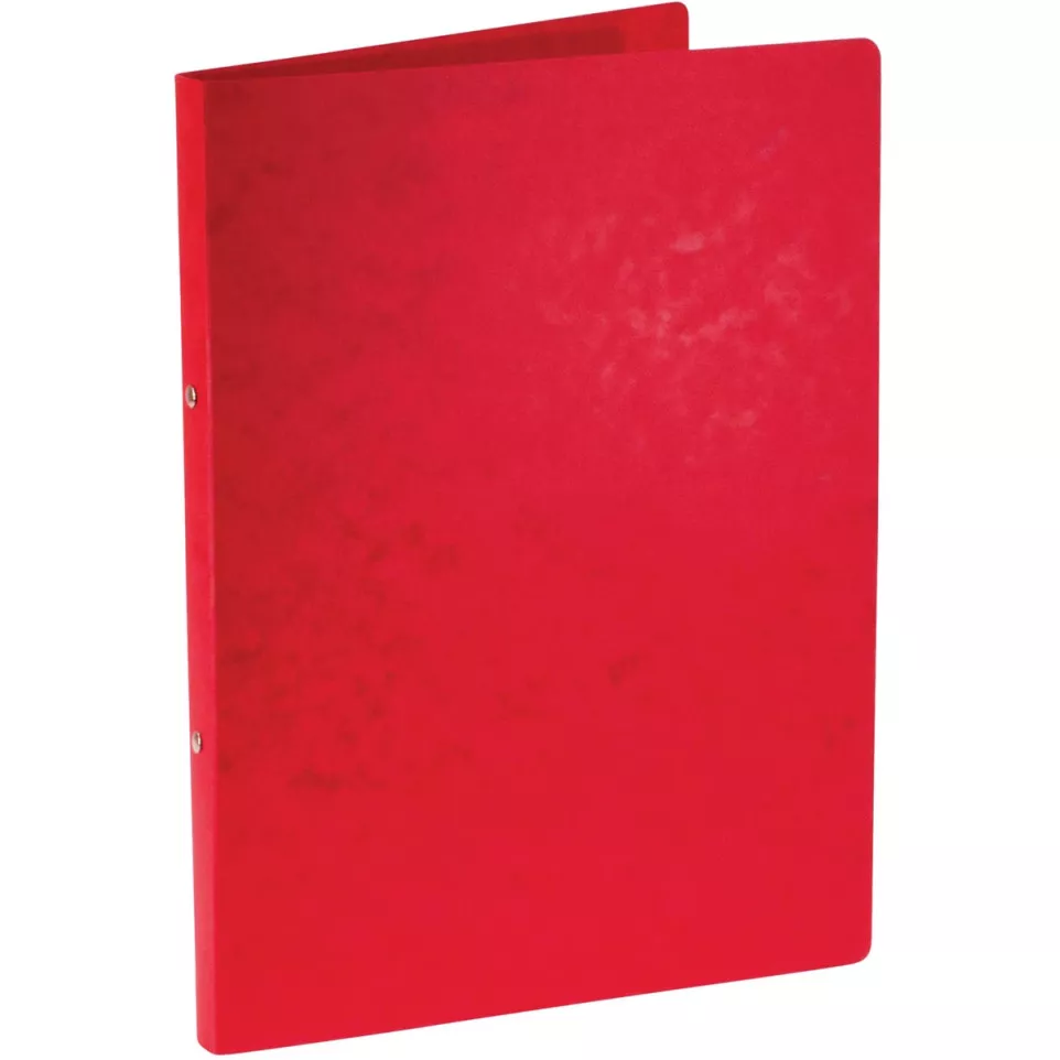 Bronyl ring binder, A4, glossy...