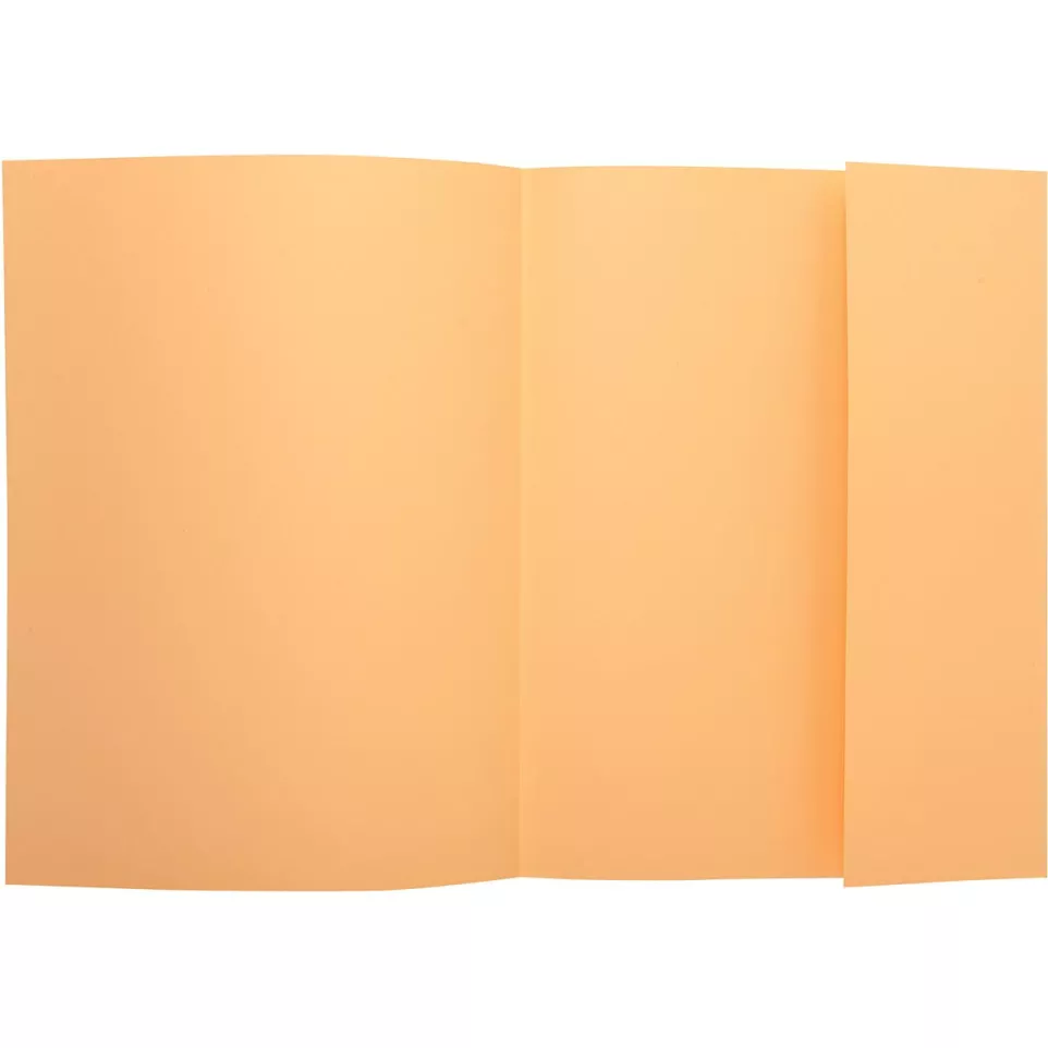 Exacompta Super 210 Cardboard Folder,...