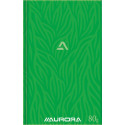 Lined Store Ledger Book