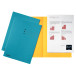 Esselte chemise de classement, bleu, carton de 180 g/m², paquet de 100 pièces