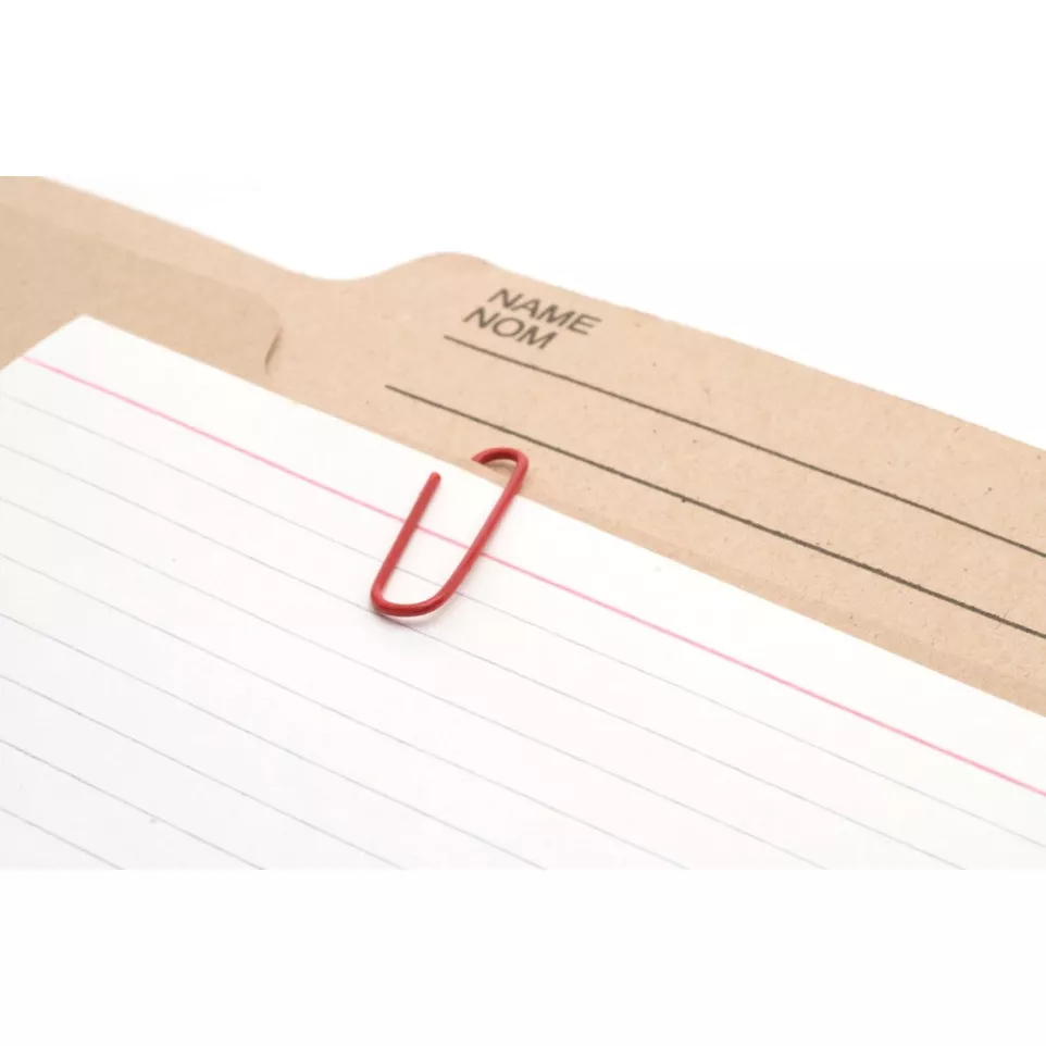 Gallery Index Cards 175 gsm, 12.5 x...