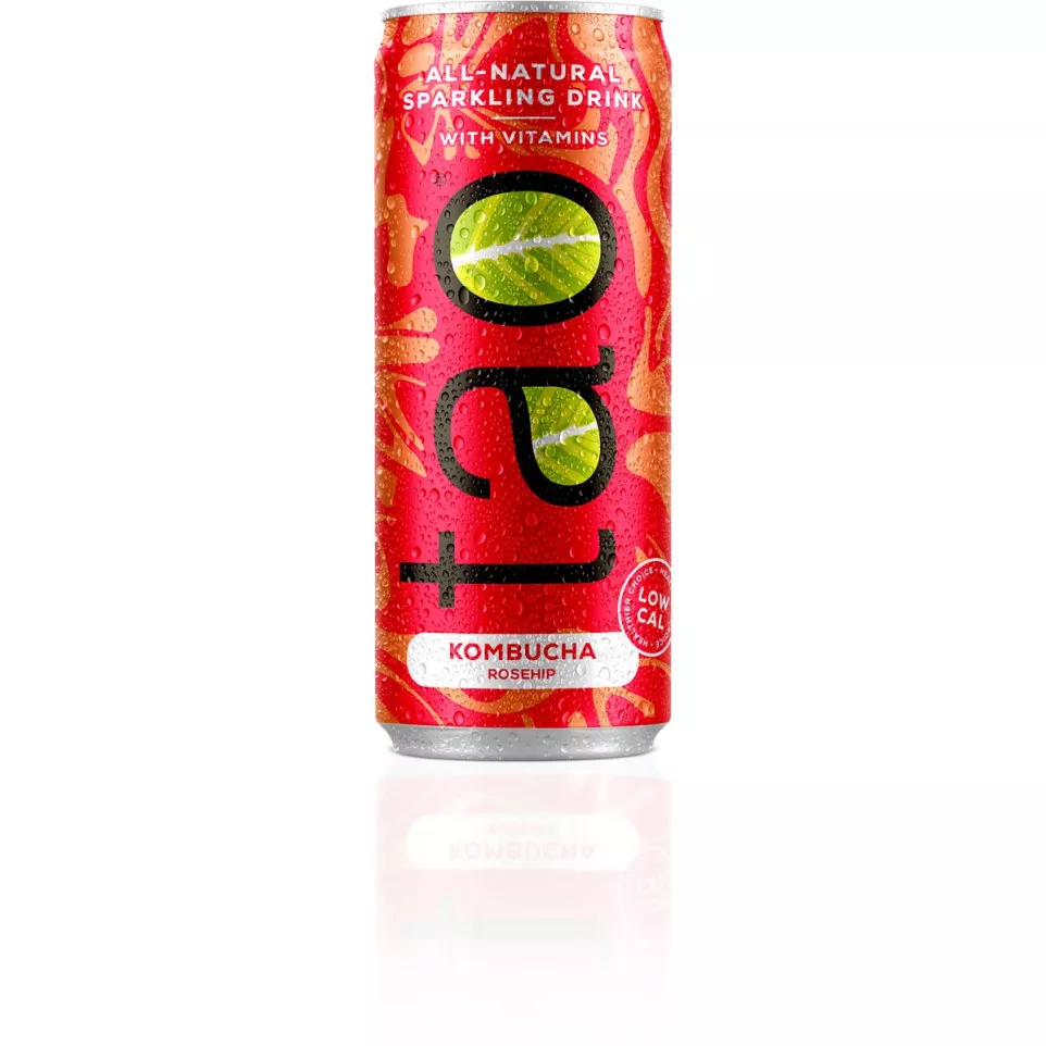 Tao Botanic Kombucha 25 cl cans pack...