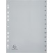 Exacompta tabbladen maandelijks A4, uit PP, 12 tabs, jan-dec, grijs, Frans