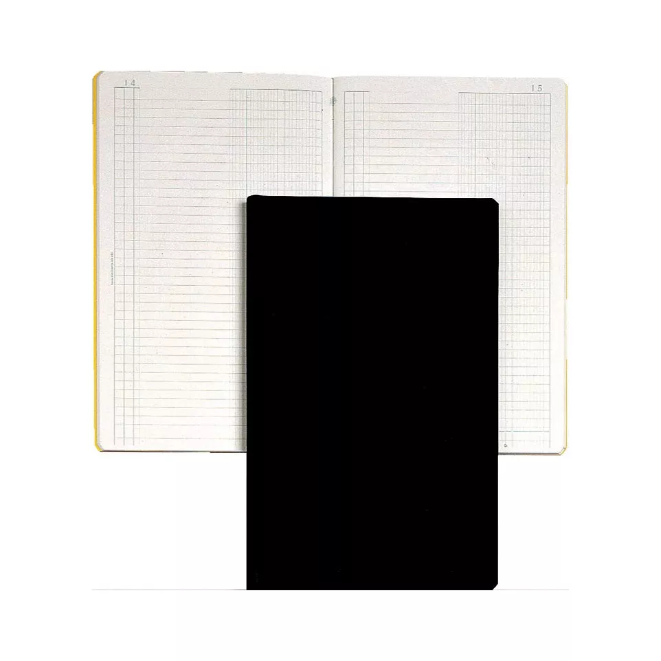 Exacompta journaal, ft 32 x 19,5 cm,...