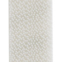 Command Medium Picture Hanging Strips, White, Holds up to 5.4 kg, Pack of 8