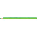 Staedtler Ergosoft Triangular Colored Pencils Set of 12