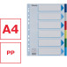 Esselte tabbladen 6 tabs