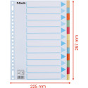 Esselte intercalaires 12 onglets, carton de 275 g/m²