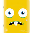 Splendid cahier, 48 pages, ft 16,5 x 21 cm, quadrillé 10 mm