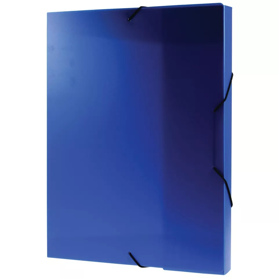 Viquel Blue Plastic Filing Box