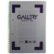 Gallery Traditional spiraalschrift ft A4, geruit 5 mm, geassorteerde kleuren, 160 bladzijden